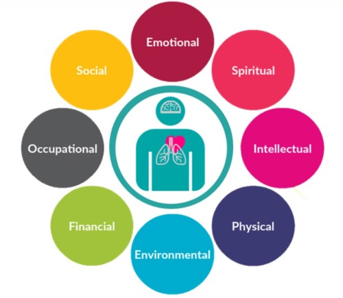 CHSS - the 8 areas of wellness