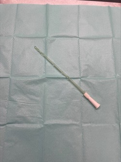 Female Speedicath ISC