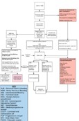 Abnormal bleeding pathway